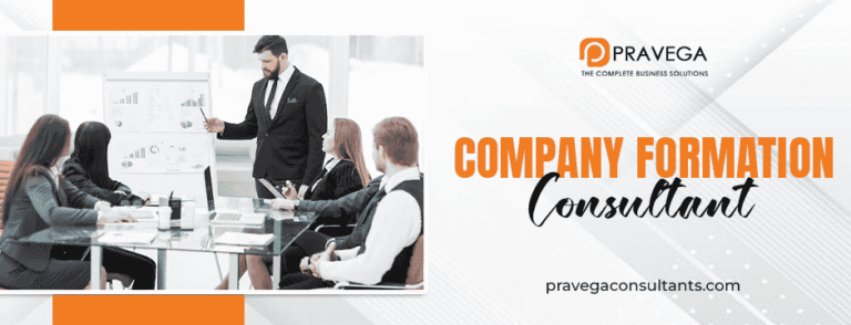 company formation consultant