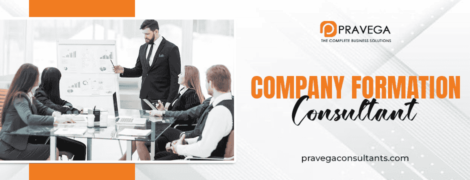 company formation consultant