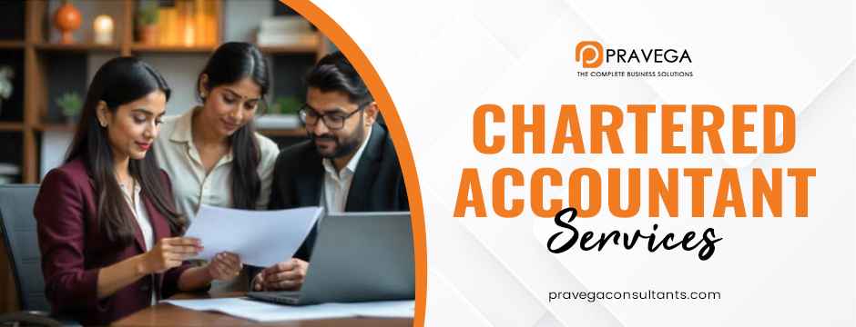 Chartered accountant services
