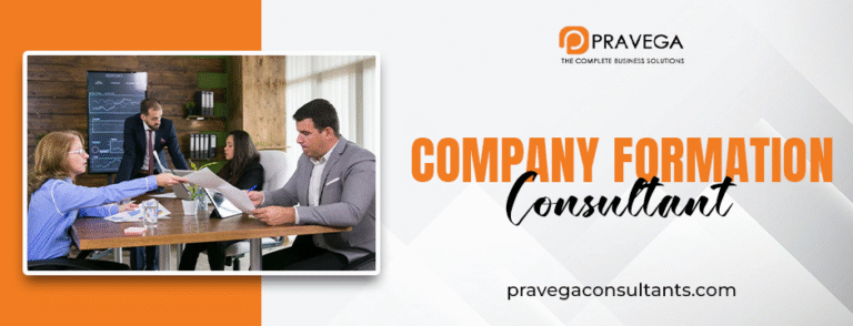 Company Formation Consultant