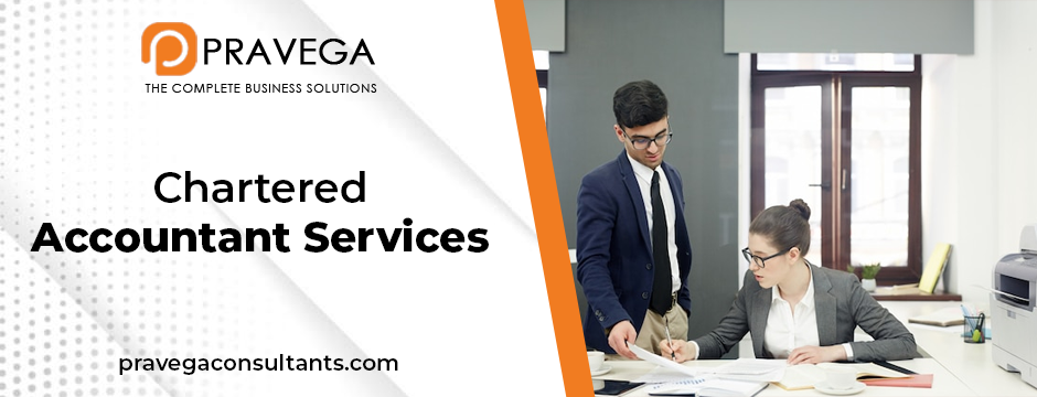 Chartered accountant services