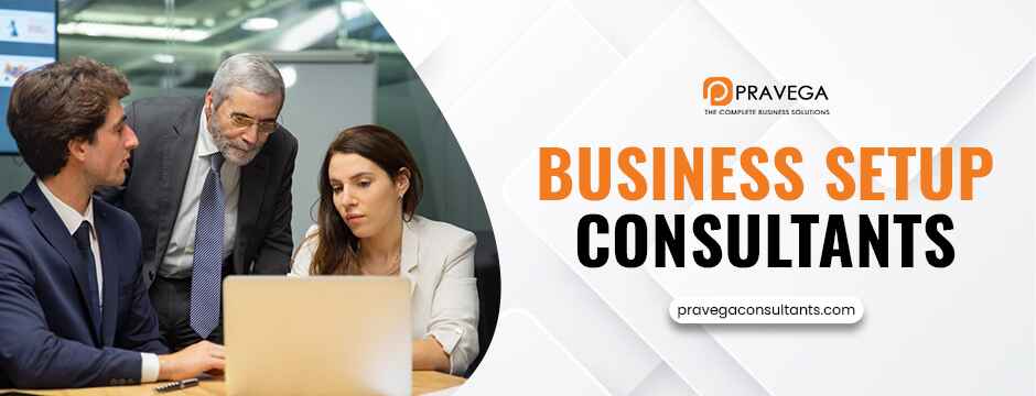 Business Setup Consultants