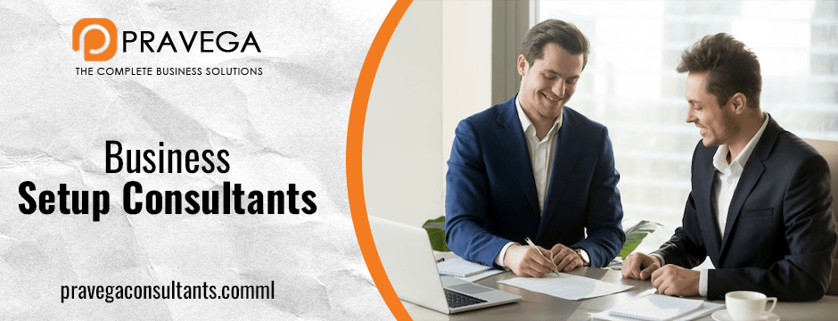 Business Setup Consultants