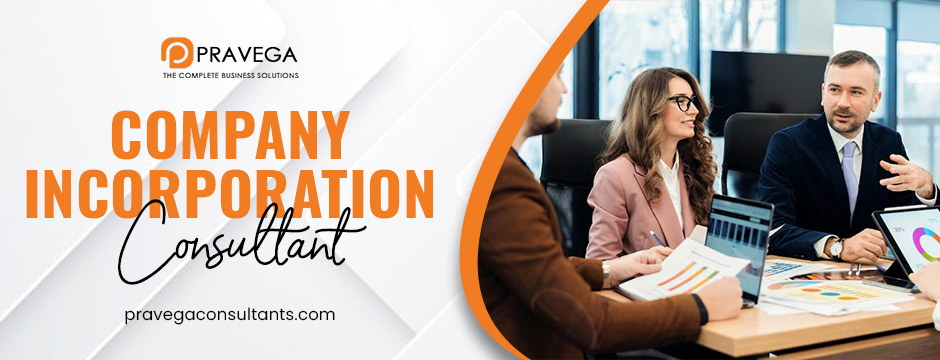 Company Incorporation Consultant