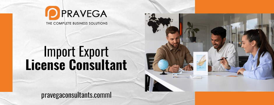 Import Export License Consultant