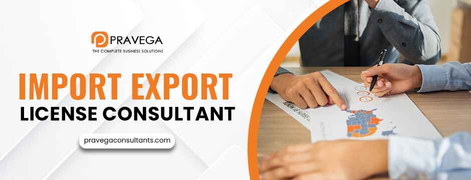 Import Export License Consultant