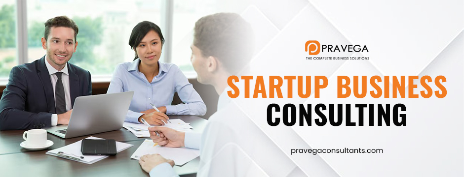 Startup business consulting
