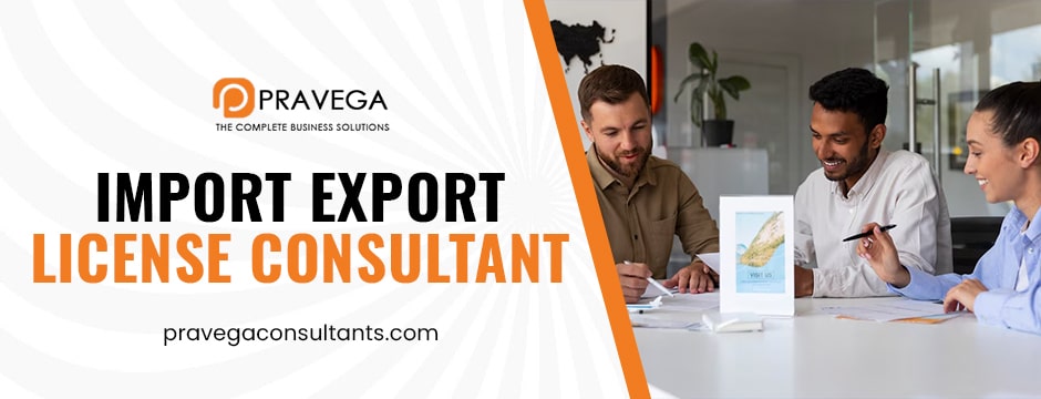 Import Export License Consultant