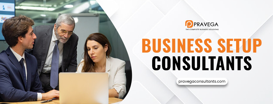 Business setup consultants
