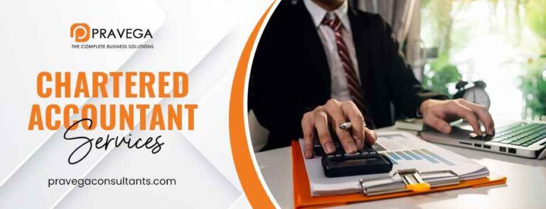 Chartered accountant services