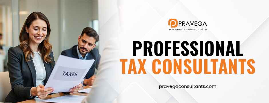 Professional tax consultants