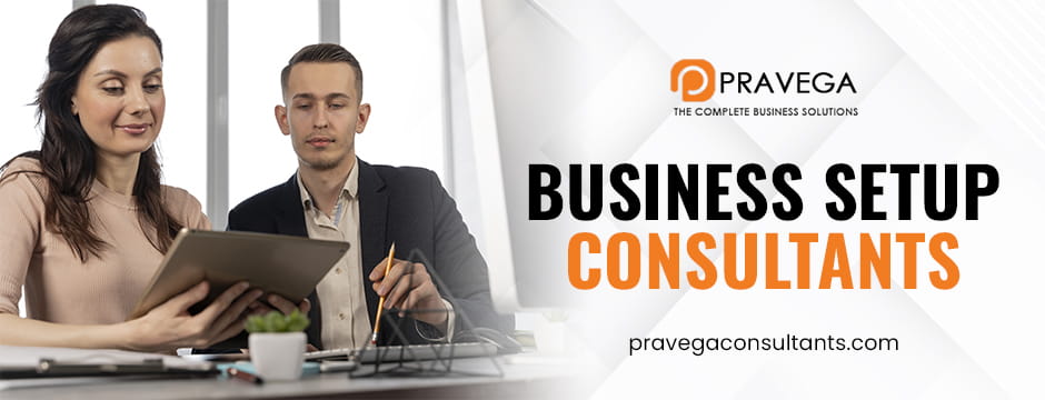 Business setup consultants