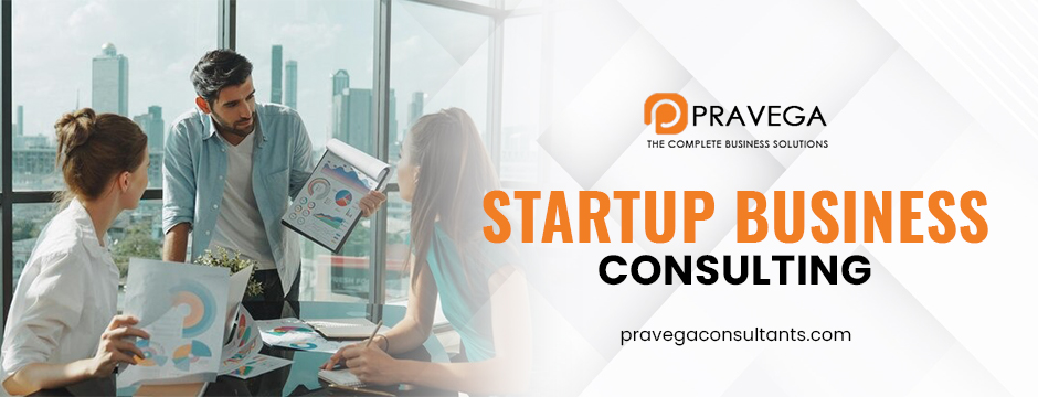 Startup Business Consulting