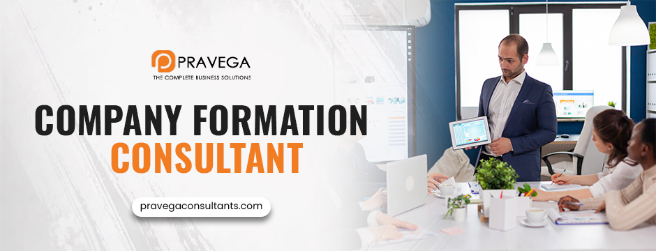 company formation consultant_